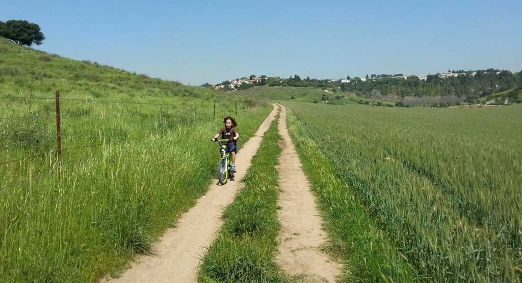 ילד צעיר רוכב על אופניים בשדות קרית טבעון